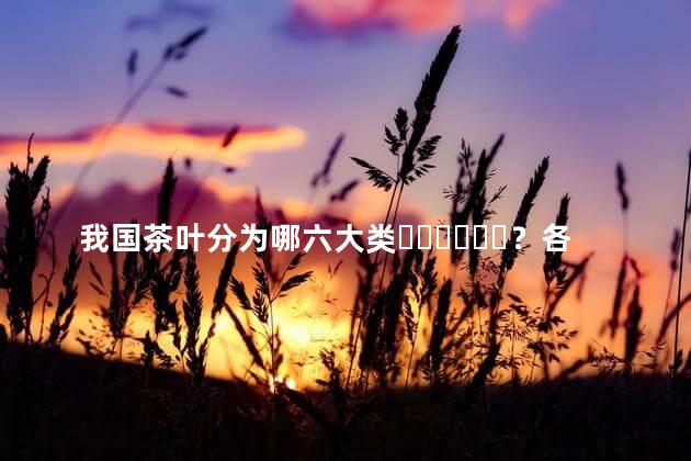 我国茶叶分为哪六大类？各举一个代表名品